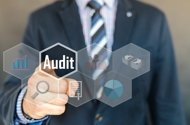 Human Resource Consulting 4 pushing audit button