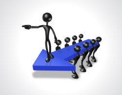 Leadership Judgment and Decision Architecture
